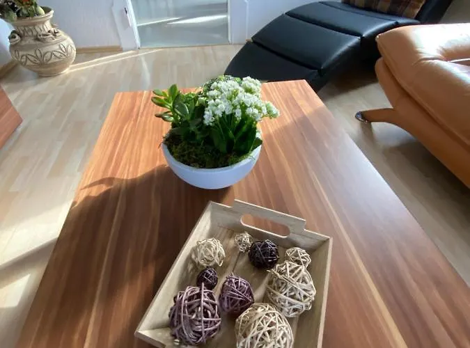 Geraeumige Im Gruenen